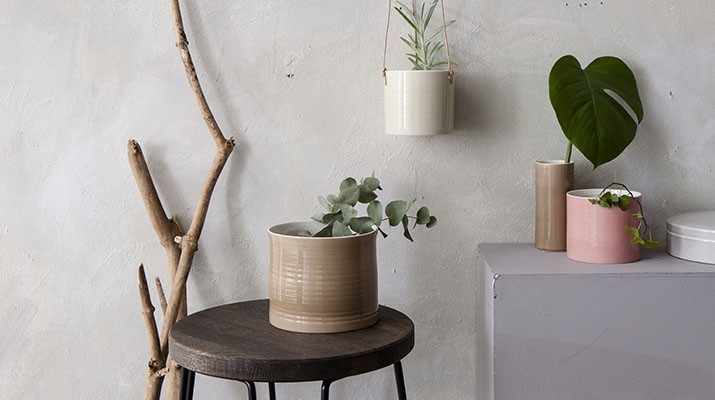 Anne Black Anne Black