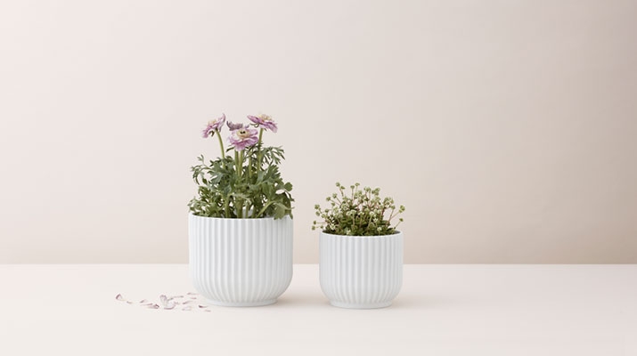 Lyngby Urtepotter Lyngby Urtepotter