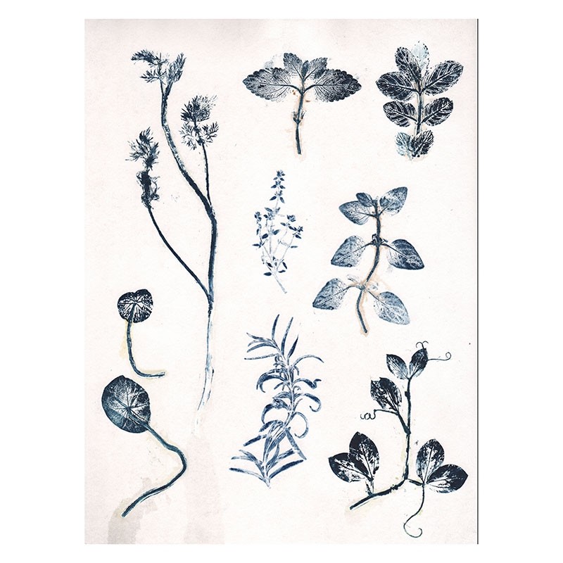 PernilleFolcarelliGardenHerbs30x40cm-31