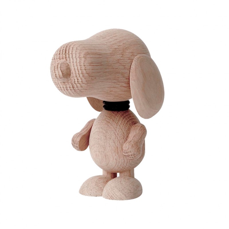 BoyhoodMrBeagleEgLille-31