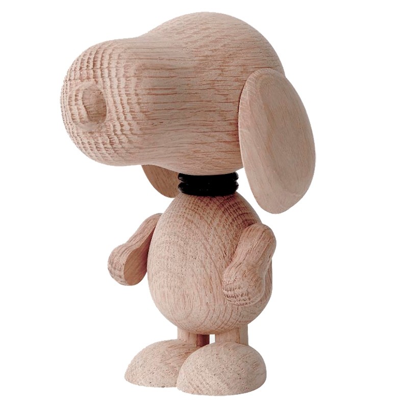 BoyhoodMrBeagleEgStor-31