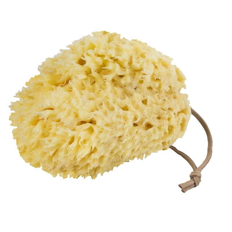 MetteDitmerOceanSvampKropLight-31