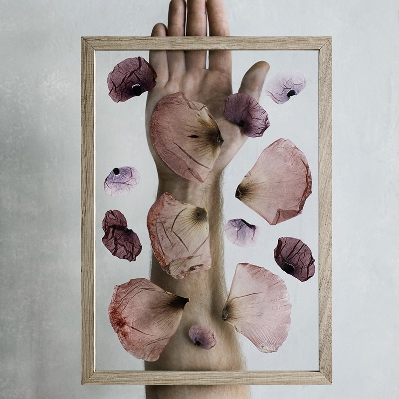 MoebeFrameRammeEgA4-31