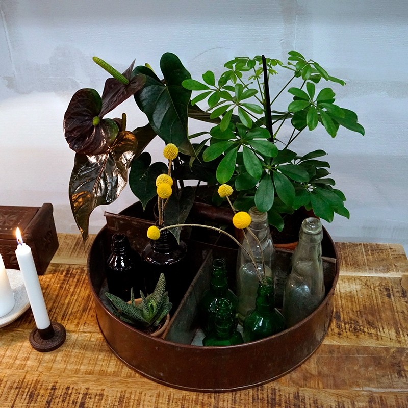 TrademarkLivingAgustinRundJernkasse-31