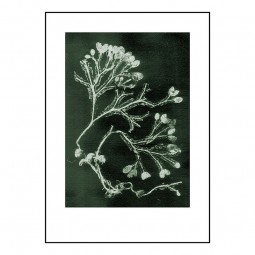 PernilleFolcarelliSeaweedDarkOlive100x140cm-20