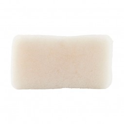 MerakiKonjacSvampKrop-20