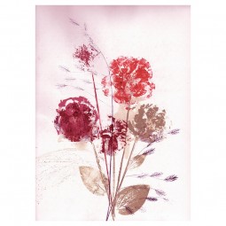 PernilleFolcarelliFlowerBouquetDustyTapet-20