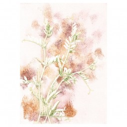 PernilleFolcarelliViciaMultiTapet-20