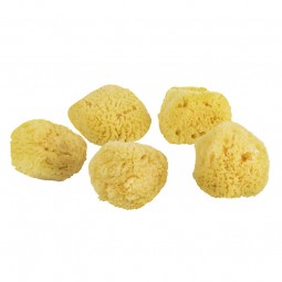 MetteDitmerOceanSvampAnsigt5stkLight-20