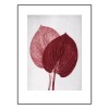PernilleFolcarelliHostaBordeaux30x40cm-01